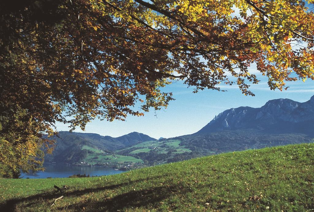 Haus Gruber 호텔 Attersee 외부 사진
